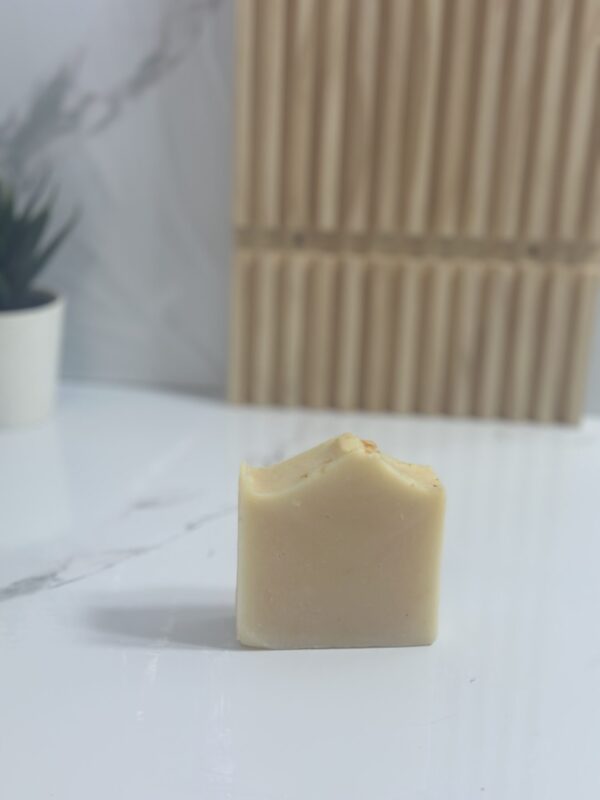 Savon à l’Argan